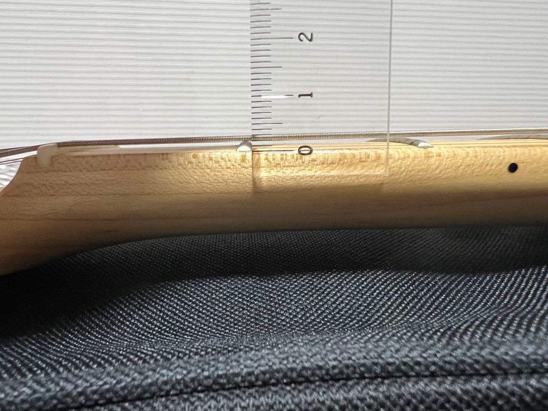 FUJIGEN EST1960 エレキギター