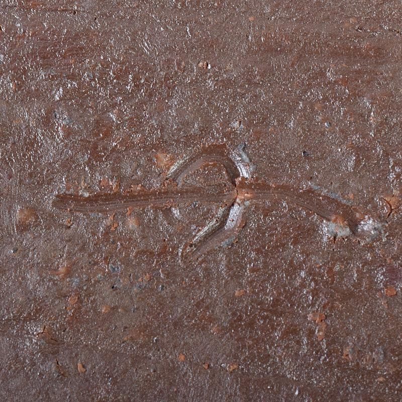 和食器 備前焼 乗松建行作 銀杏型銘々皿 六客 共箱 M R7891