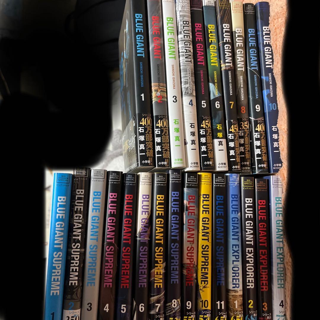 ぬいぐるみ✽アートドール✽足可動✽カラスのかーこ✽中サイズ