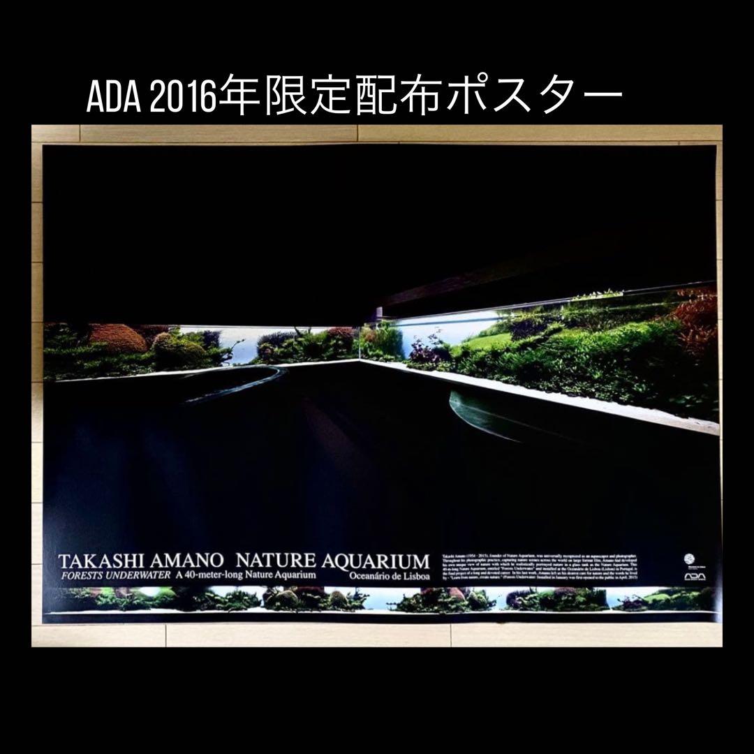 未使用保管品】アクアデザインアマノ 非売品ポスター 天野尚