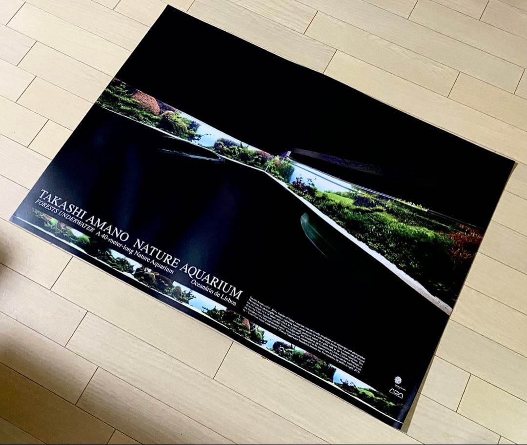 未使用保管品】アクアデザインアマノ 非売品ポスター 天野尚