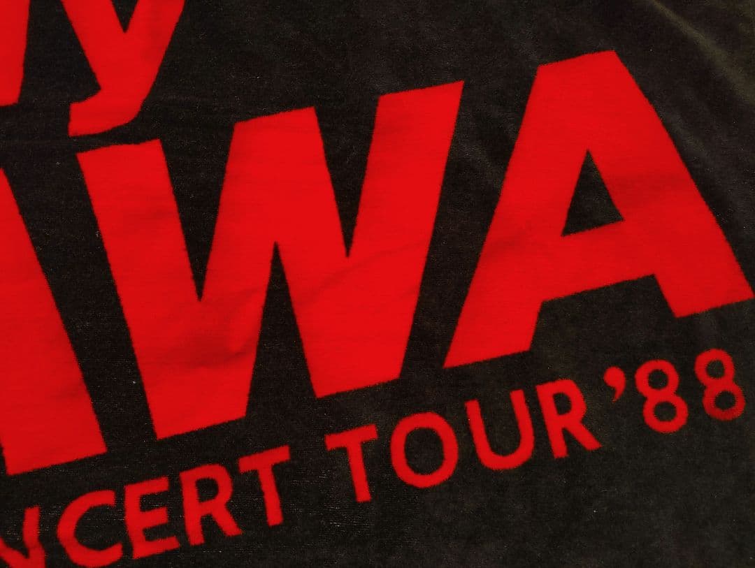 矢沢永吉 スペシャルビーチタオル'88