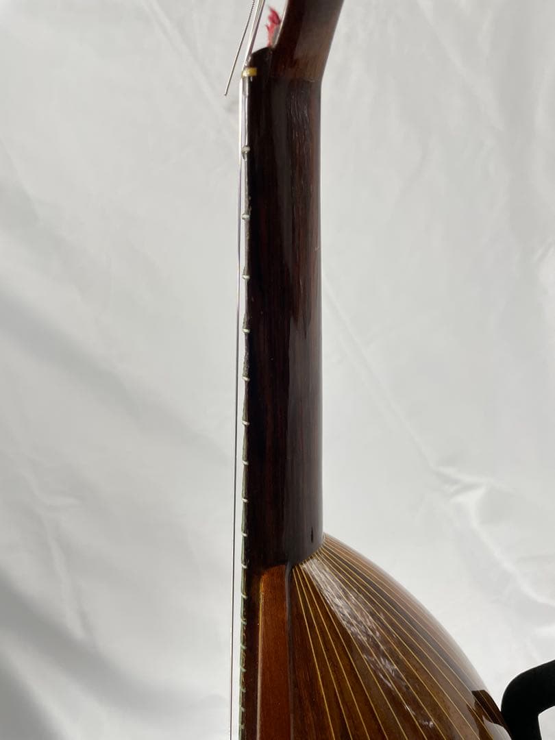 ラファエレ・ カラーチェ マンドリン No.24