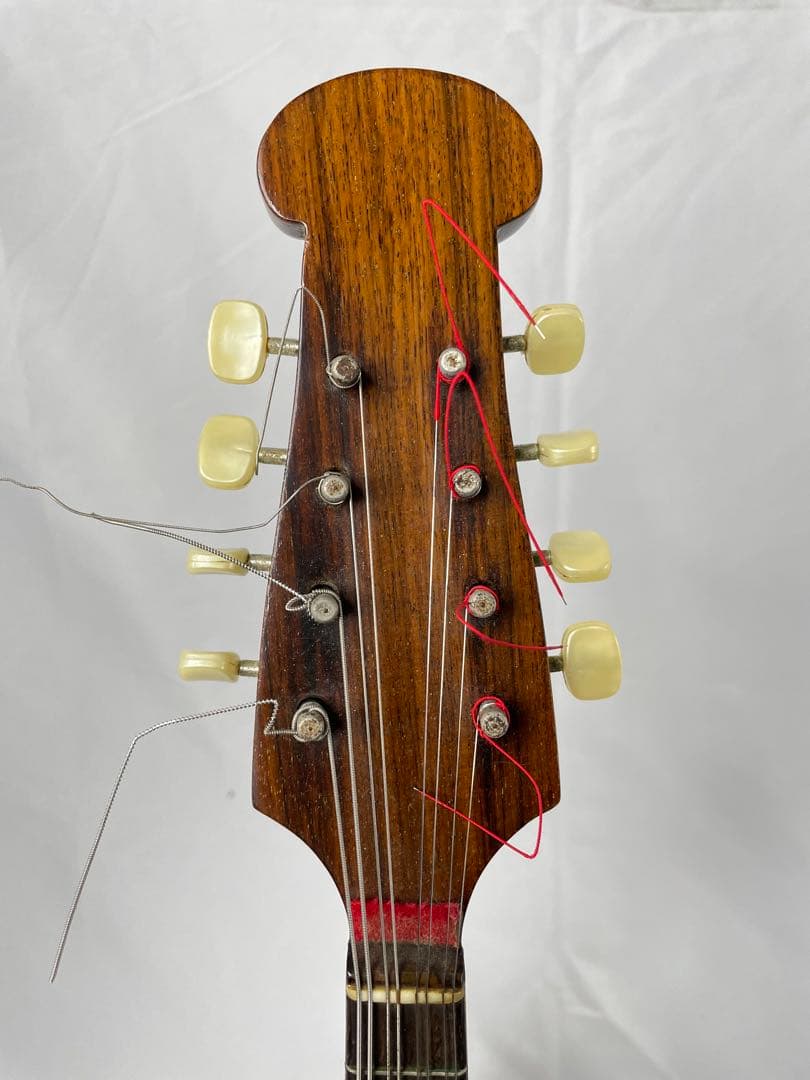 ラファエレ・ カラーチェ マンドリン No.24