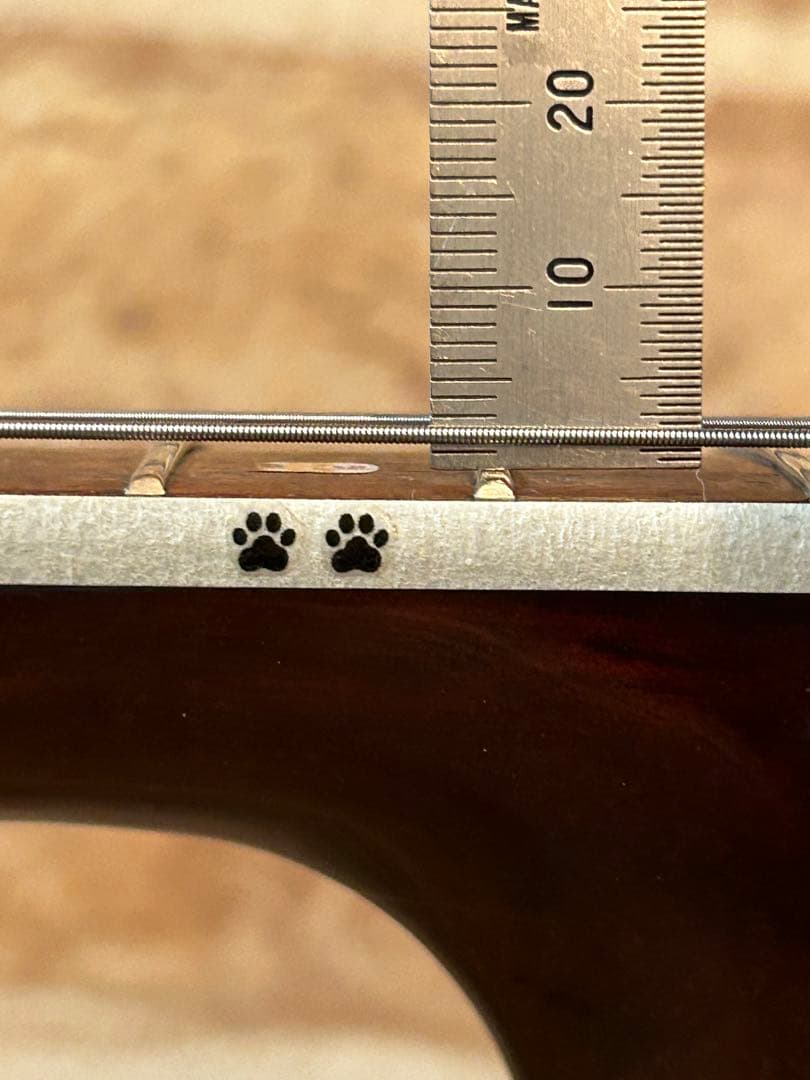 タカミネTD-27(豆しばバージョン) 豆しば