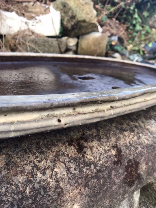 盆栽鉢　超希少時代手捻り楕円平盆栽鉢白地に黒胡麻柄落款