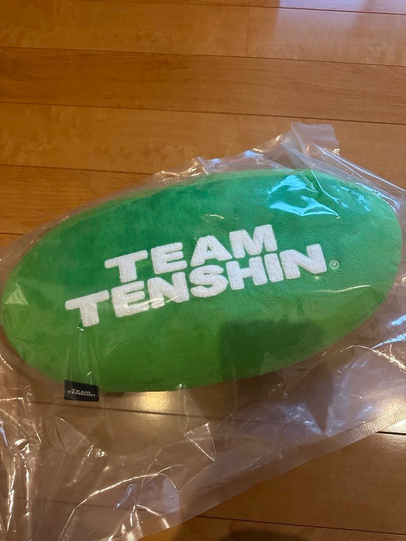TEAM TENSHIN 公式クッション 新品未使用