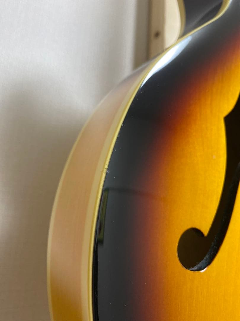 Epiphone casino coupe ダダリオ弦付き　即購入可