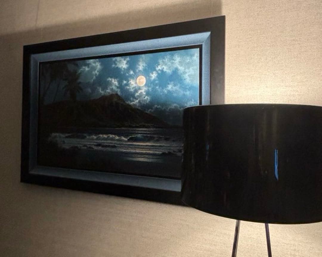 1点物 美品 ロイ.タボラ Jewel of the Night