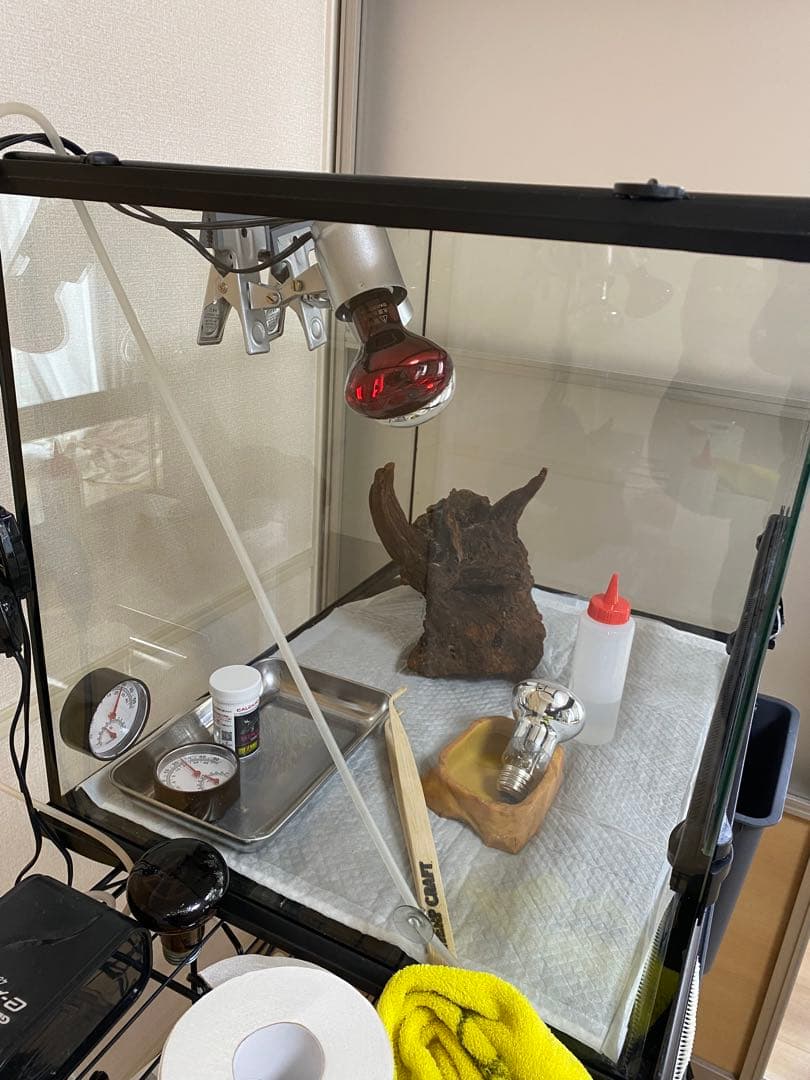 エキゾテラ6045 東広島市 とまさん専用 エキゾテラ6045 東広島市 と