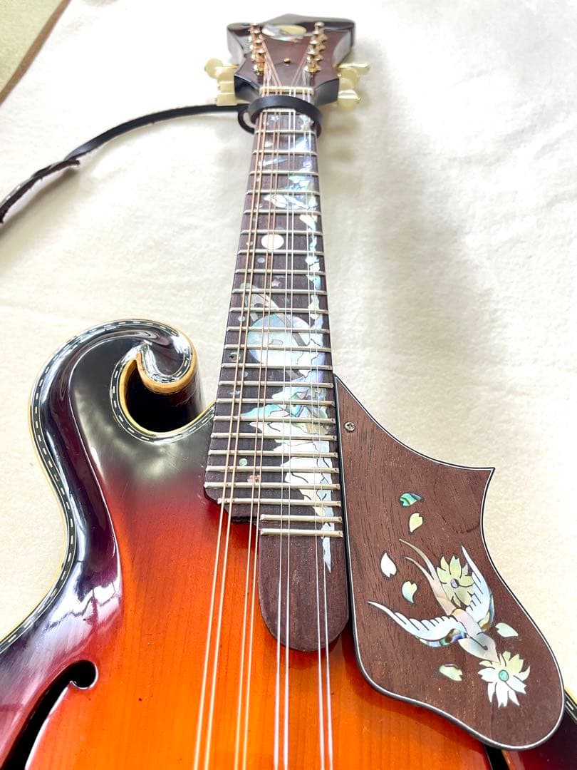 美しき謎のマンドリン　サンバースト マンドリン本体　インレイ装飾