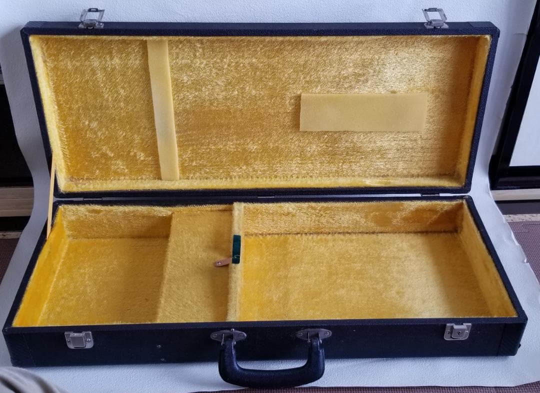 フラットマンドリン・良品（田原楽器：TETOMAS）ケース・新品弦付き