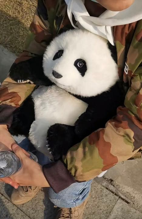 パンダぬいぐるみ 本物に近い　職人ハンディクラフト