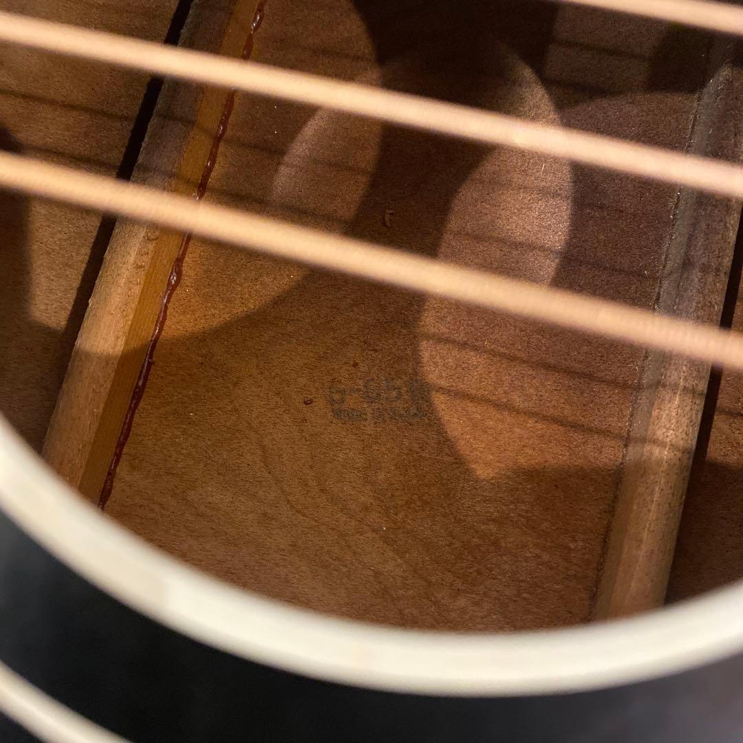 1965 Silvertone 604 Acoustic Guitar Silvertone 1965年 604