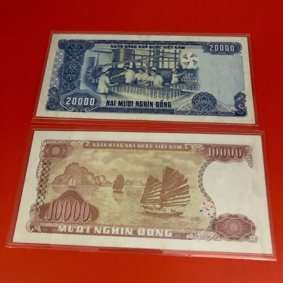 カタログ価6万円！裏糊ツヤピカ！大正8年第一次世界大戦終結記念切手