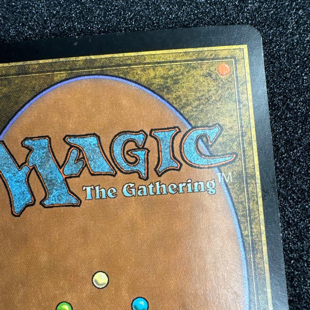 MTG EDH セファリッドの幻術師 foil 日本語 トーメント