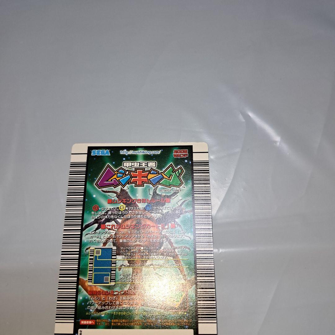 マンディブラリスフタマタクワガタ2005セカンドアダー