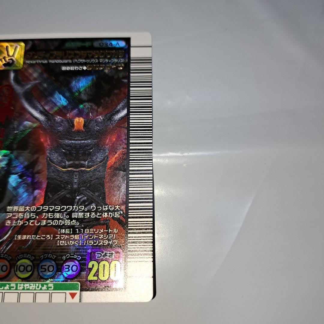 マンディブラリスフタマタクワガタ2005セカンドアダー