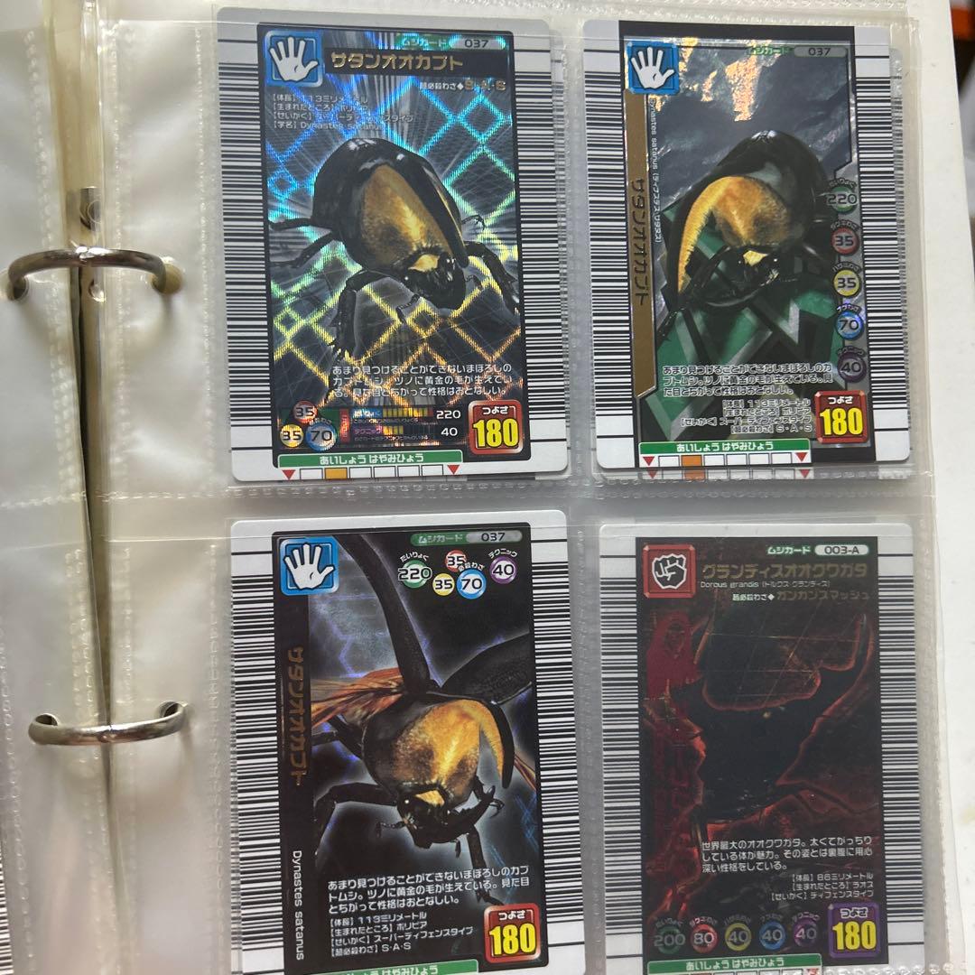 ムシキング　各種コレクション