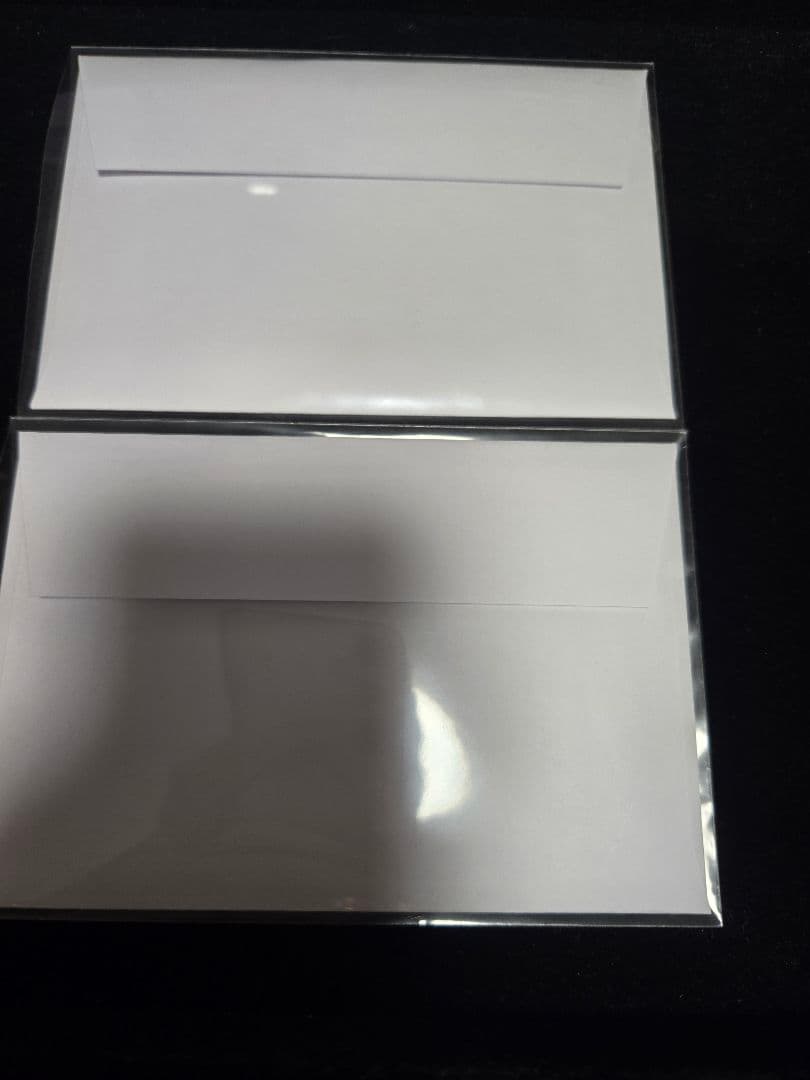 遊戯王 東京ドーム ブルーアイズ 封筒カードセット