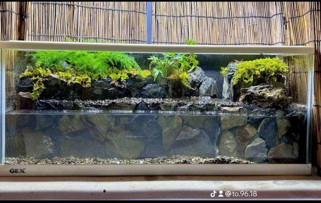 マロンページ Mazda MXR-01 n.5 fourth in the 24 Hours of Le Mans 1992