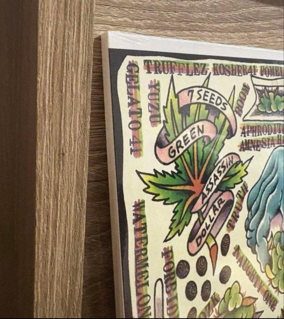 ラスト1枚FLIP&DRAW 2LP Green Assassin Dollar