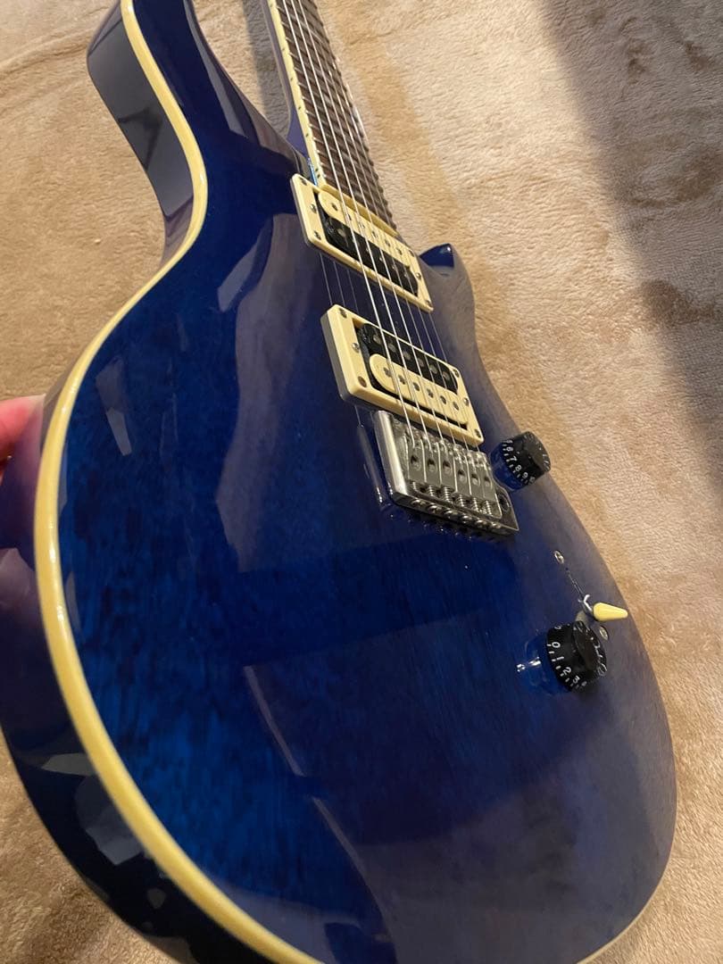 PRS SE Standard custom24 青