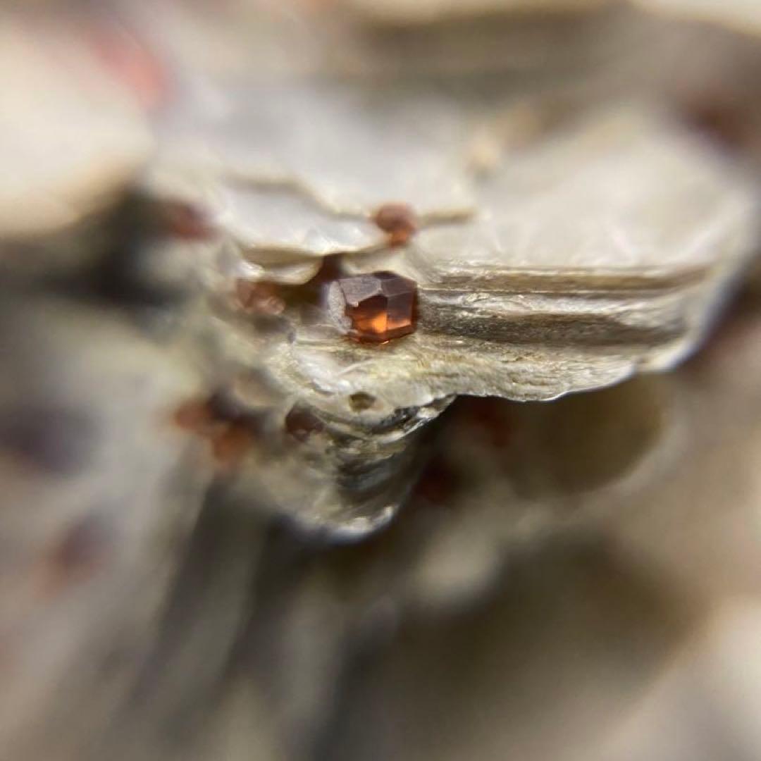 パキスタン産 白雲母上の満礬柘榴石 モスコバイト スペサルティン 外