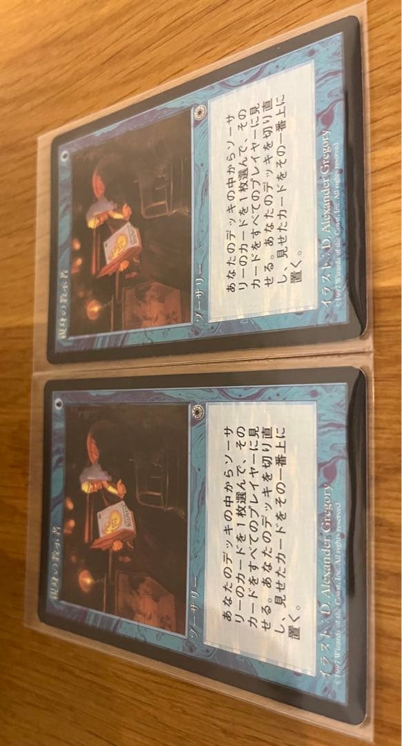 親身の教示者/Personal Tutor 日本語2枚セット