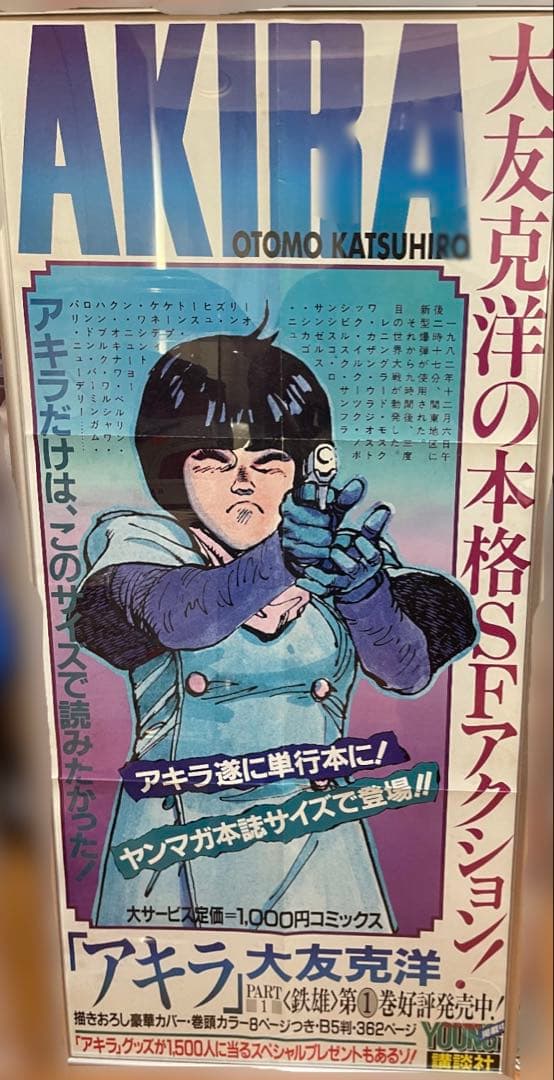 Fate/EXTELLA LINKランサー カルナ ロングポスター