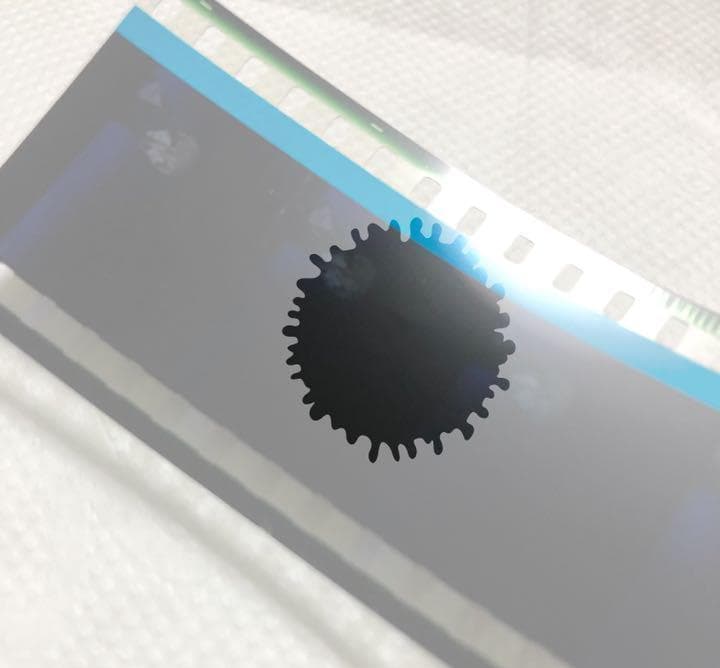 2枚組ヴァイオレットエヴァーガーデン12_10フィルムヴァイオレットとギルベルト