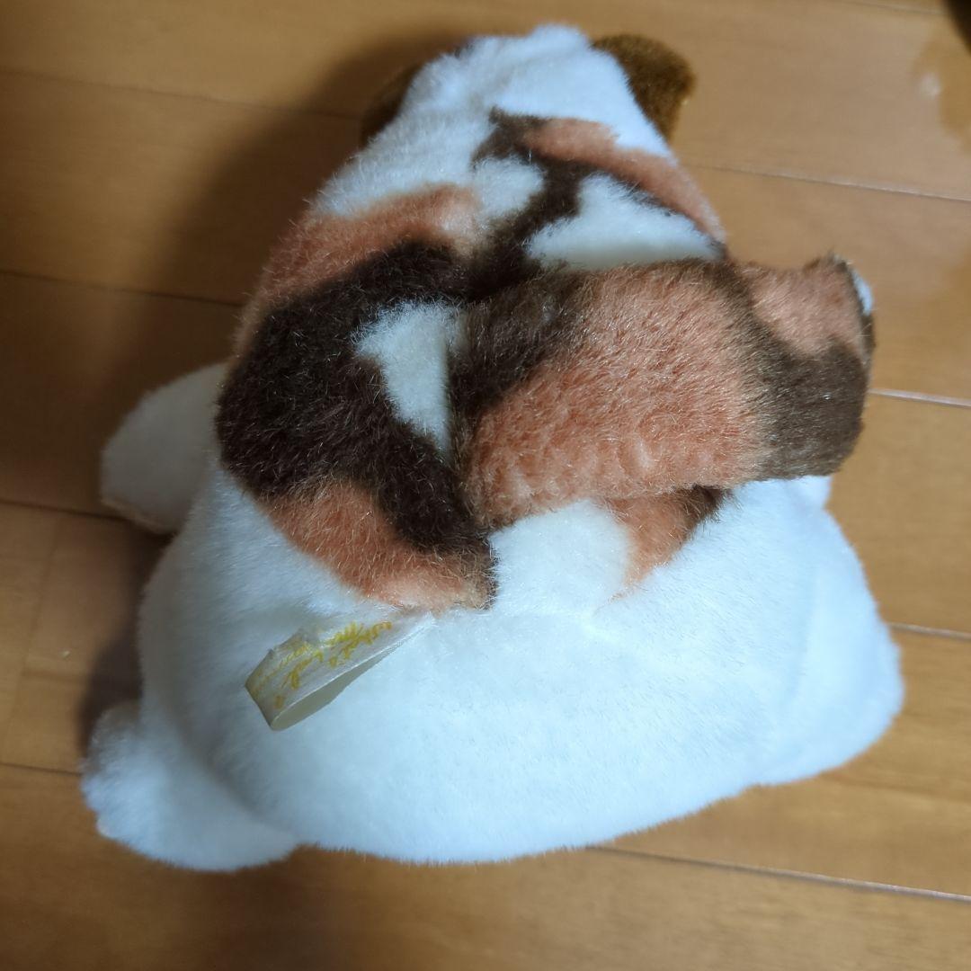 ホワッツマイケル ぬいぐるみ 猫