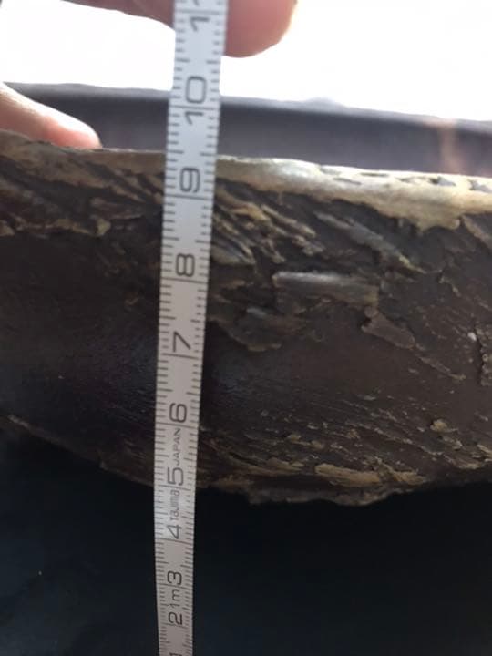 希少時代手作り松皮大きい盆栽鉢木肌作り植木鉢大寄せ植え鉢30cm