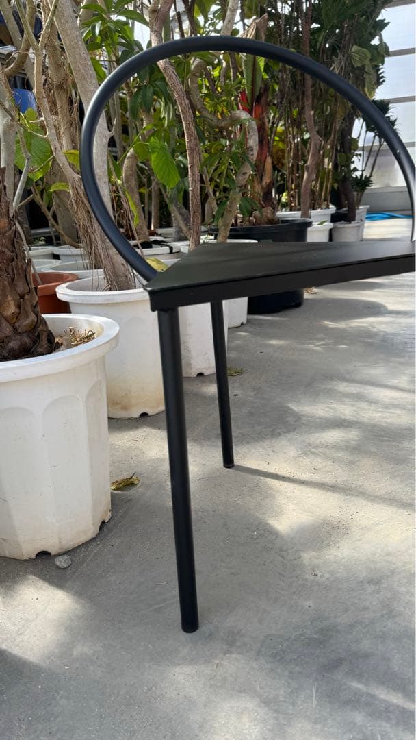 模写/川合玉堂/八可鳥/叭叭鳥図/桐共箱二重箱付/布袋屋掛軸HF-570 桐箱