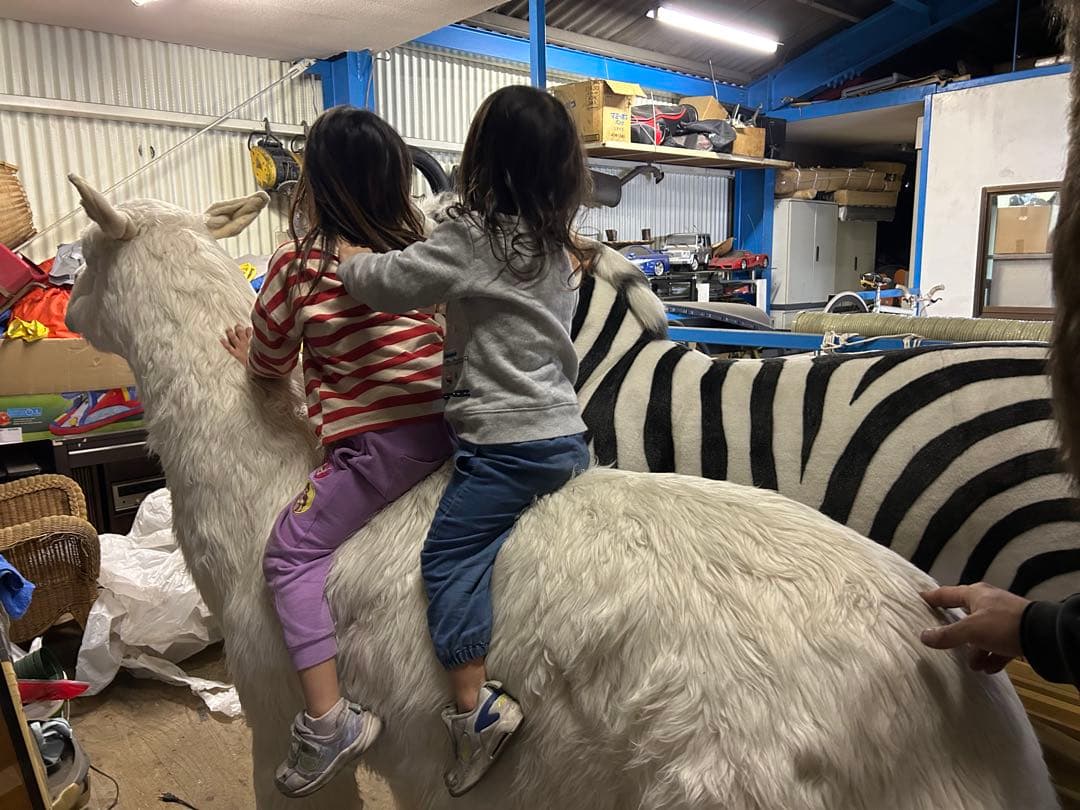 ハンサ アルパカ