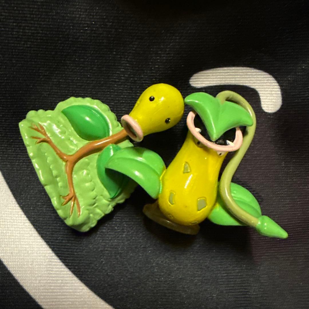 ポケモン　モンコレ　モンスターコレクション　マダツボミ　ウツボット