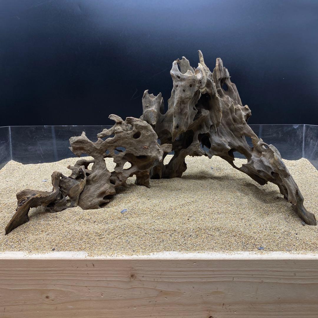 MSW-6326 天然流木 1点物 枝流木 アクアリウム 流木