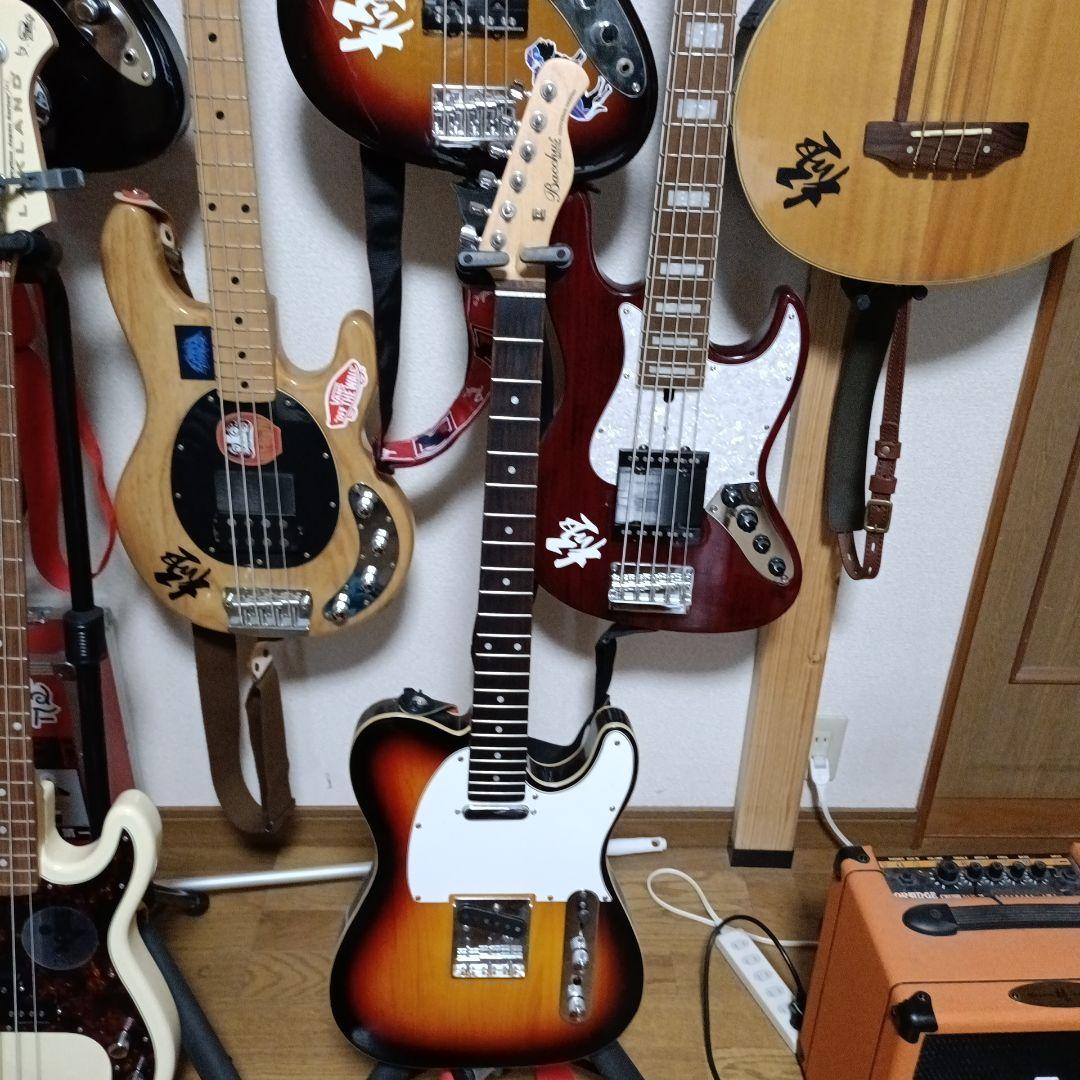 Bacchus UNIVERSE テレキャスター改 funhoused_bte-tw