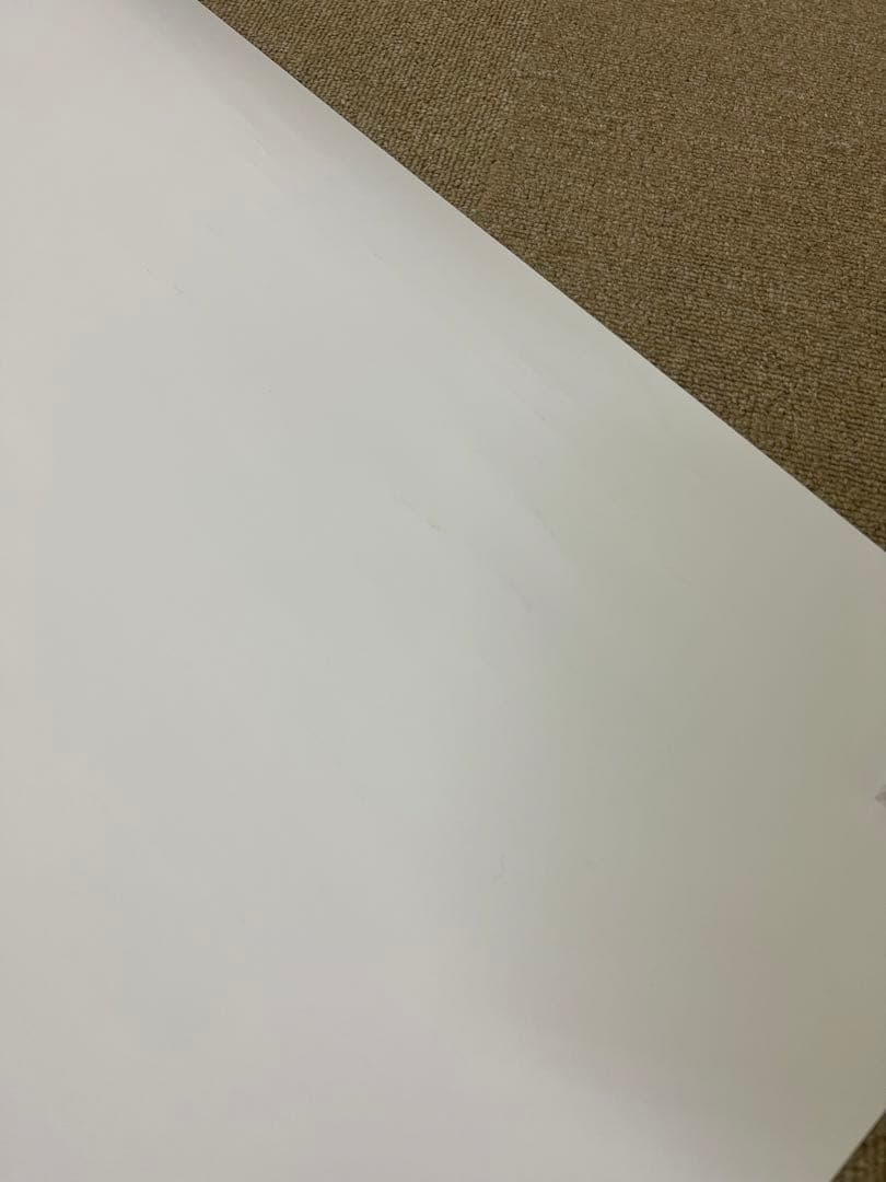 Aimer Sign 直筆サイン入りポスター ツアー会場限定当選品 おまけ付き