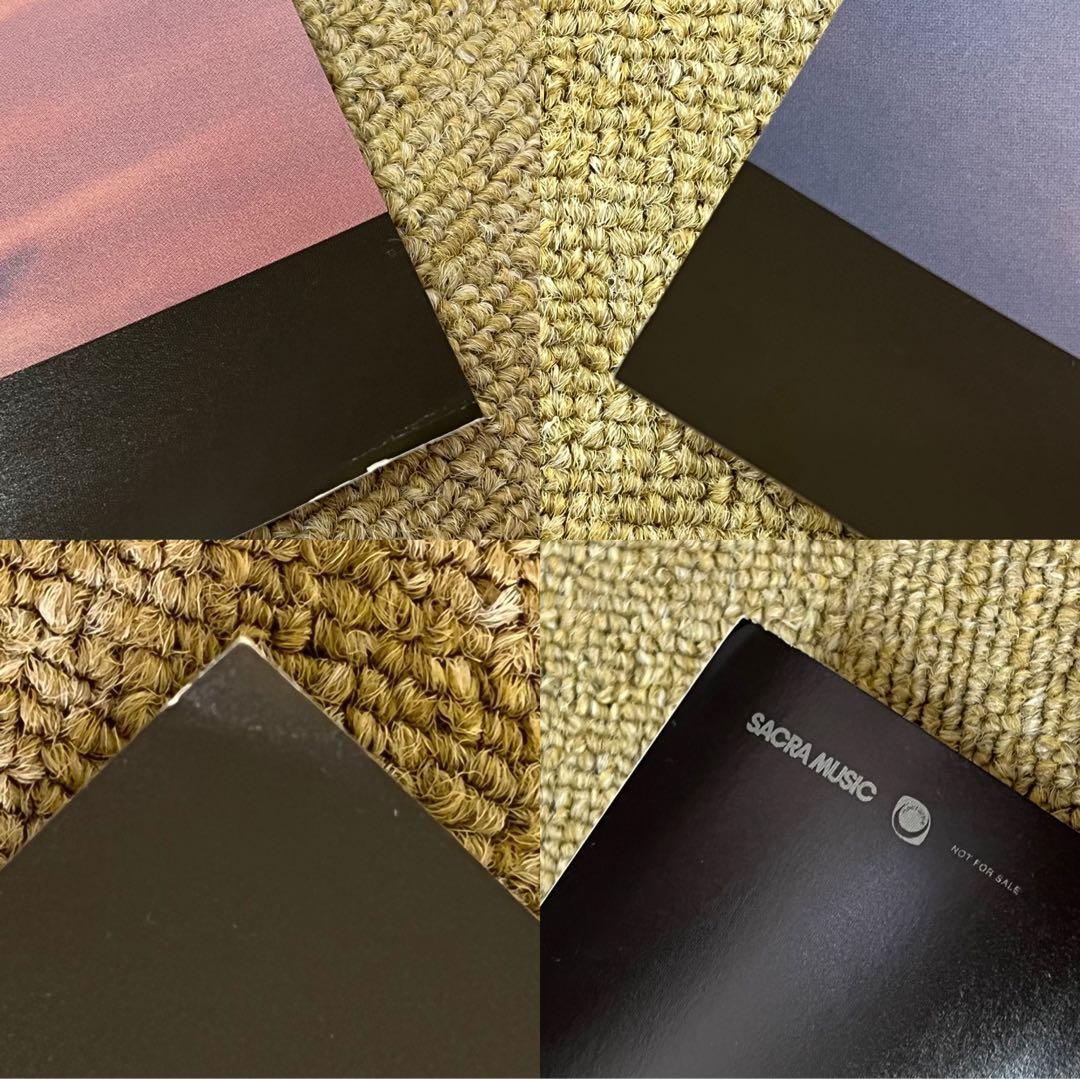 Aimer Sign 直筆サイン入りポスター ツアー会場限定当選品 おまけ付き