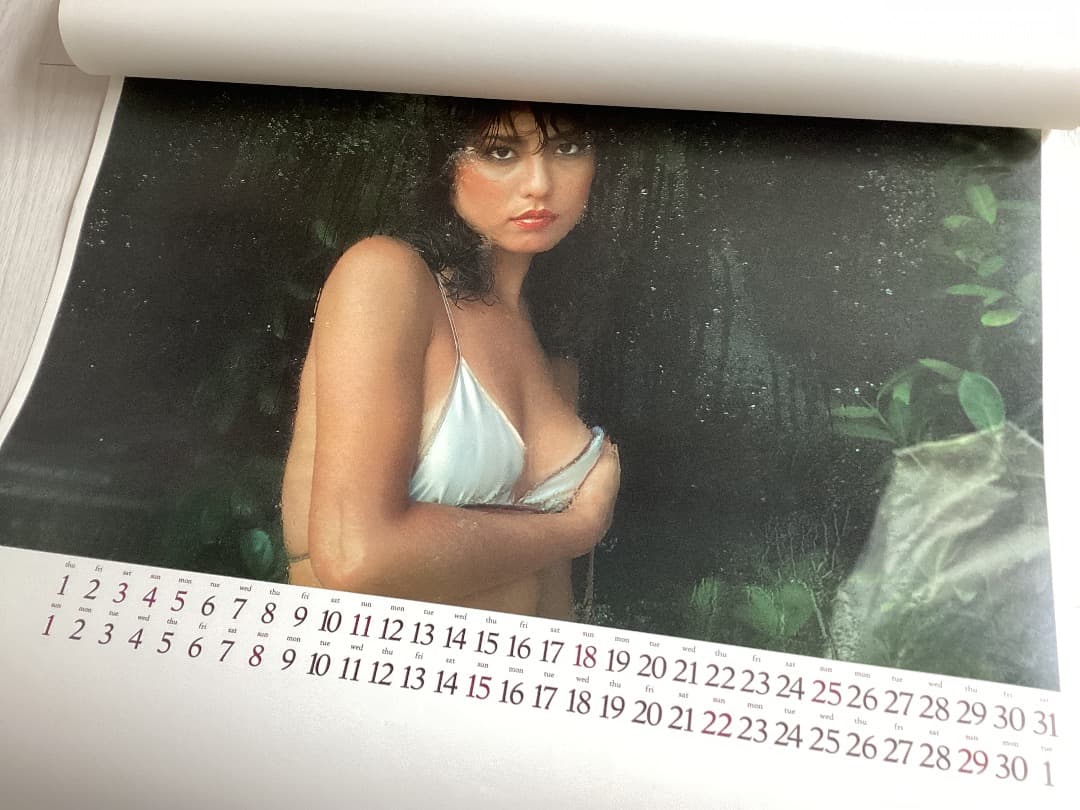 ★カレンダー/1980年/樹れい子/立木義浩/HAIG NUDE/サントリー