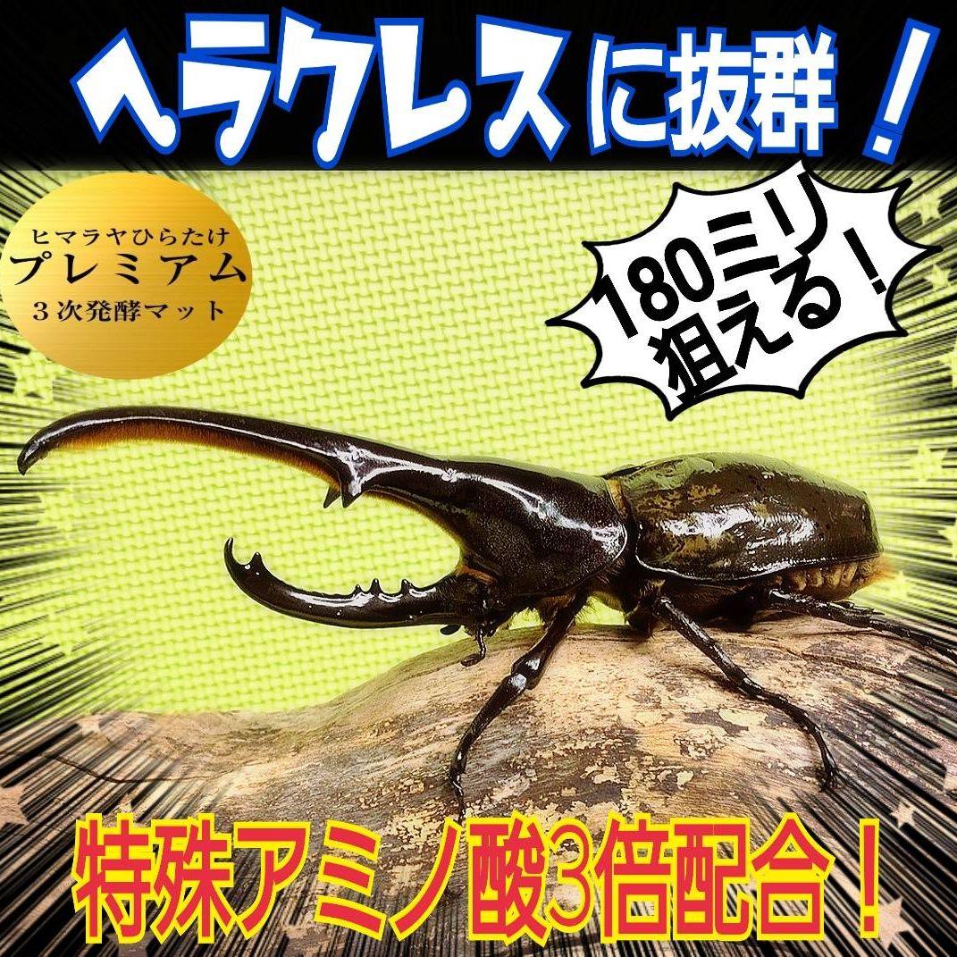 極上！プレミアム3次発酵カブトムシマット【50リットル】特殊アミノ酸