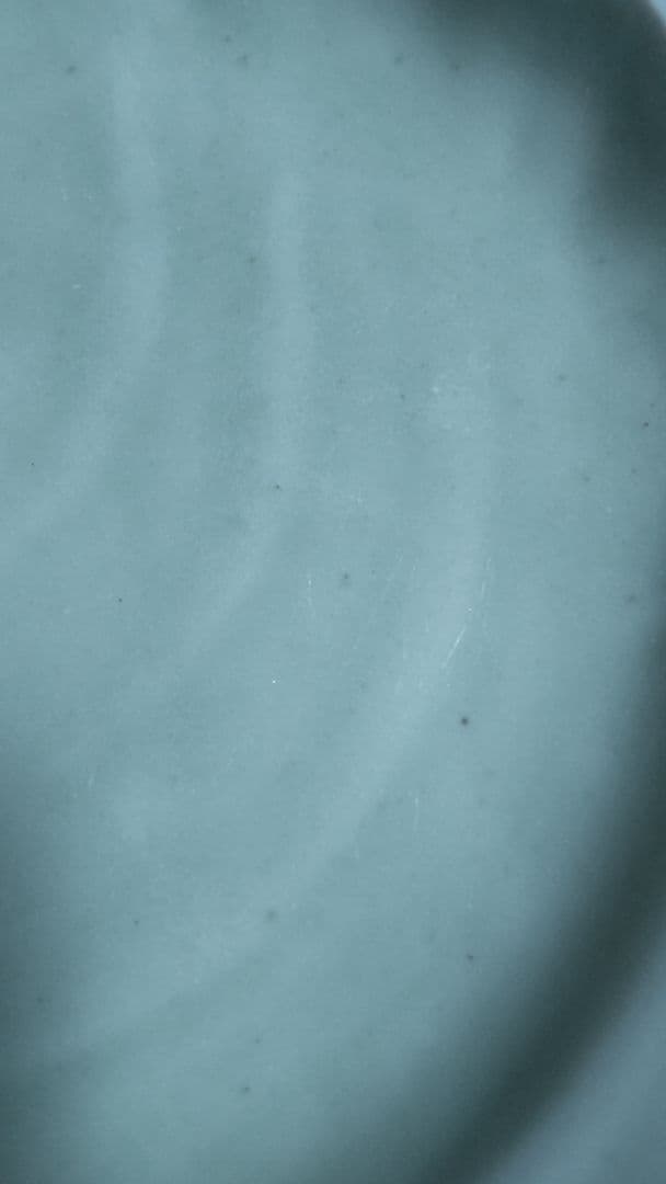 鍋島青磁　貝形皿　木箱つき