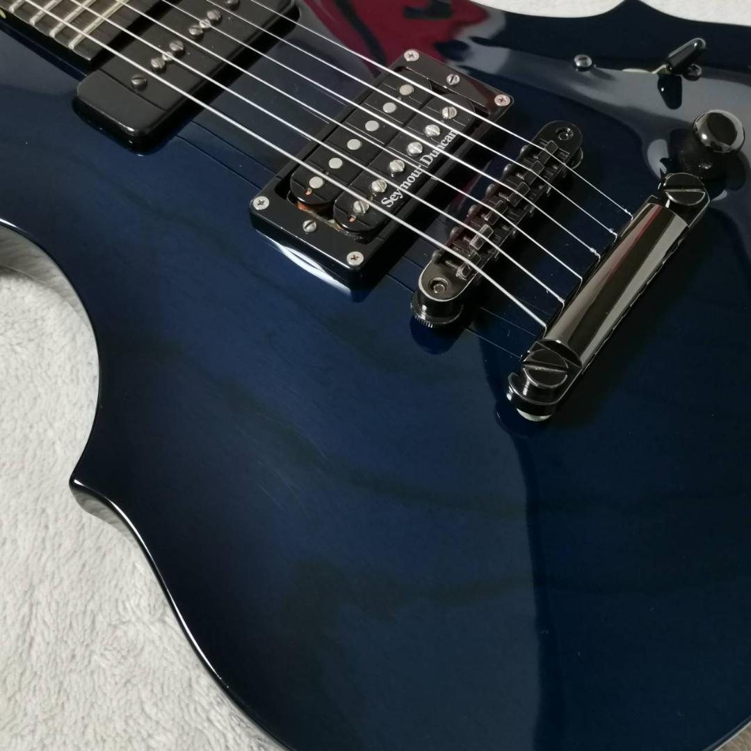 ESP カスタムオーダーギター フォレスト FRX FOREST