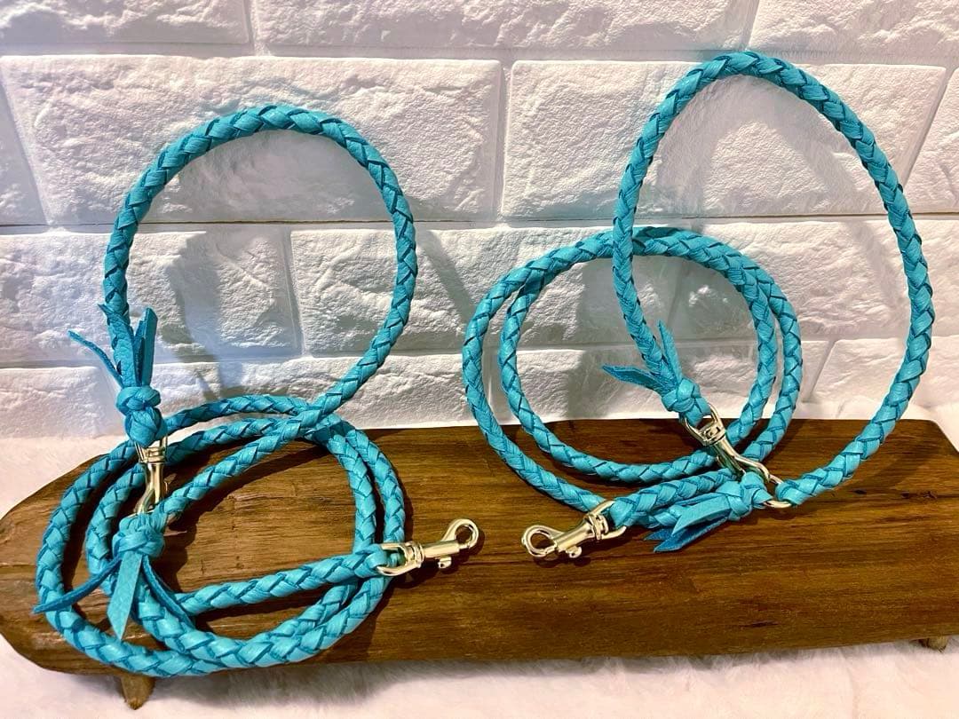 ☆ ロンハーマン様専用 ☆ 本革 イタリアンレザー カフェリード&チョーカー