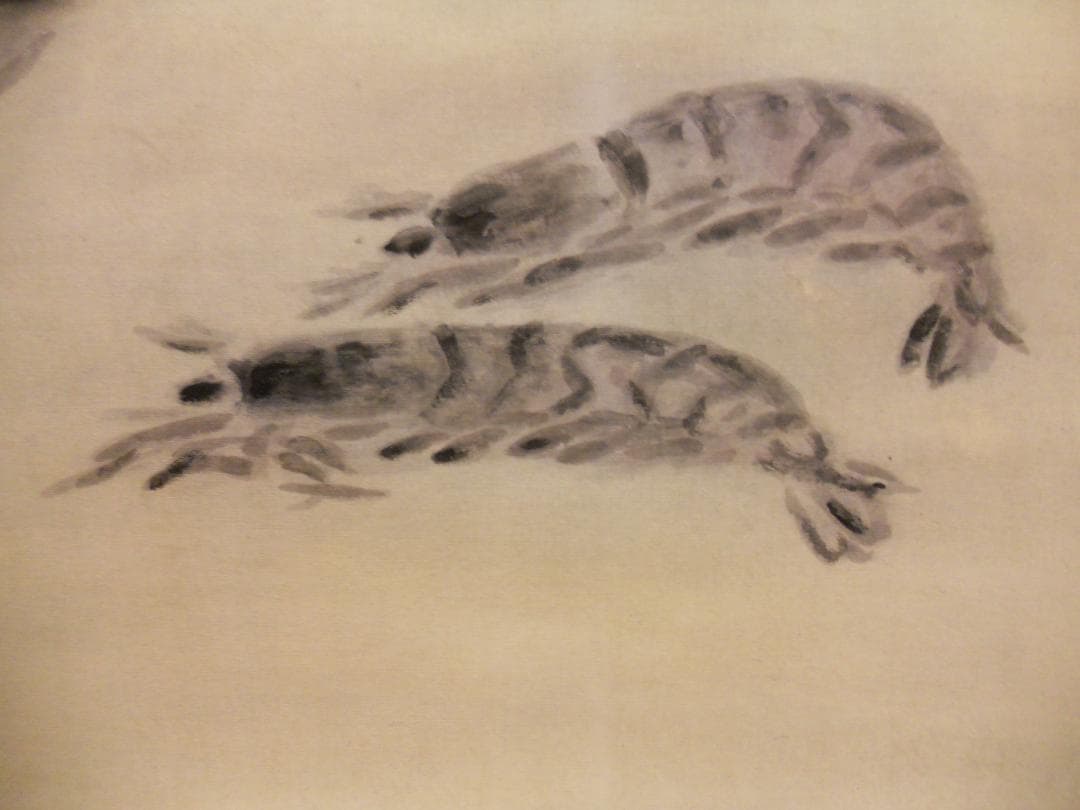 掛け軸 白倉嘉入 作『 鰈と海老図 』 絹本 希少 軸装 茶道具 掛軸 美品