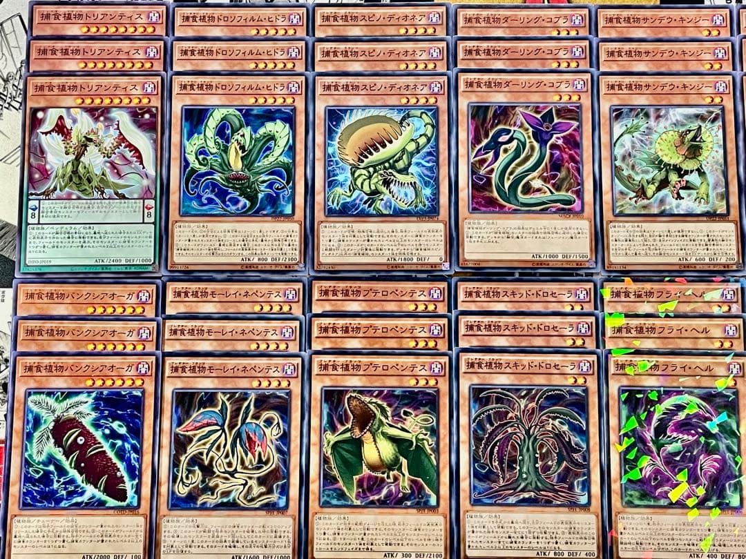 遊戯王 捕食植物 プレデタープランツ デッキパーツ まとめ - メルカリ