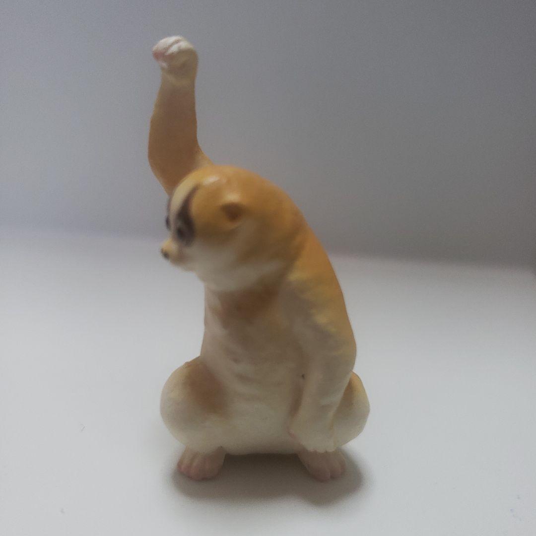 ガッツアニマル ガチャ スローロリス 1体 - メルカリ