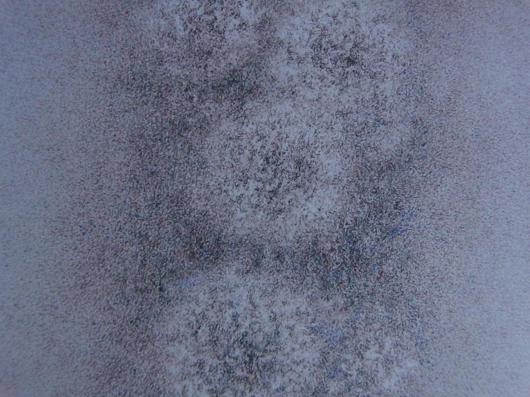 高山辰雄、【牡丹　洛陽の朝】、希少な額装用画集より、新品額装付