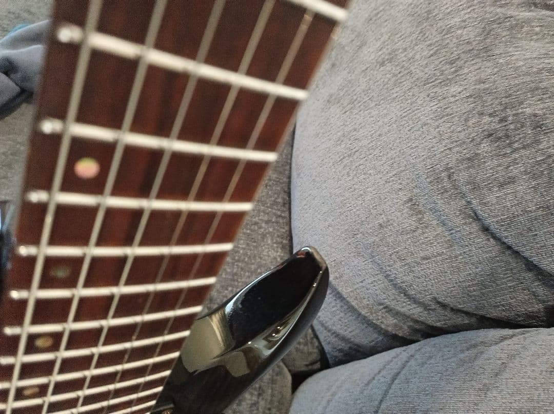 GrassRoots G-FR-62GT フォレスト フロイドローズエレキギター